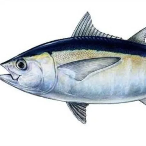 thumbnail for publication: Teach Aquaculture Curriculum: Fish-Eating Contest